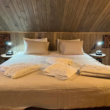 Adis With Hot Pool & Jacuzzi By Bookvillabg Villa Borovets