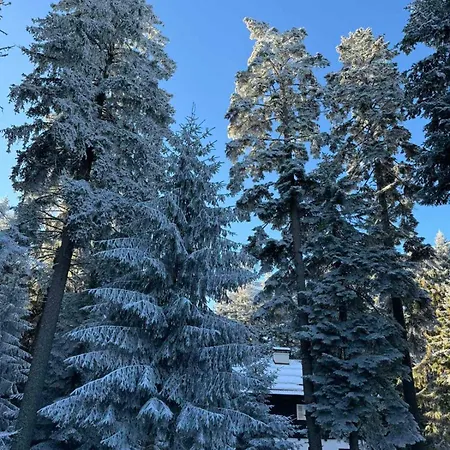 Adis With Hot Pool & Jacuzzi By Bookvillabg Villa *