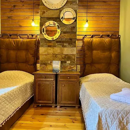 Adis With Hot Pool & Jacuzzi By Bookvillabg Villa Borowez