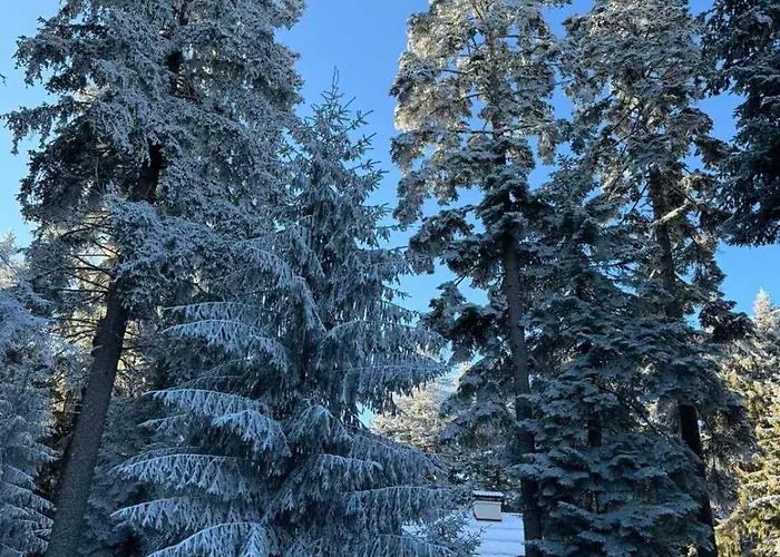 Adis With Hot Pool & Jacuzzi By Bookvillabg Villa *